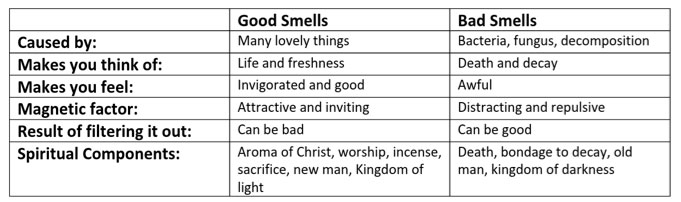 Good smell bad smell